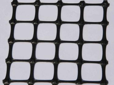 双向塑料土工格栅 - 安平县鑫盛土工材料有限公司图片2