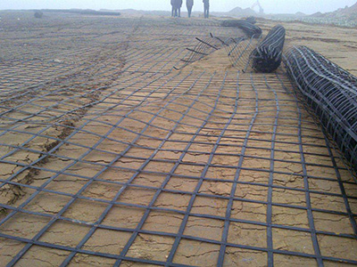 钢塑土工格栅 - 安平县鑫盛土工材料有限公司图片3