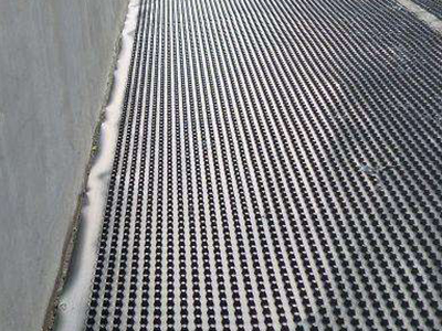 绿化排水板 - 安平县鑫盛土工材料有限公司图片2