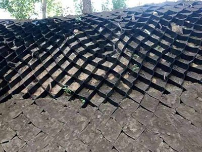 HDPE土工格室 - 安平县鑫盛土工材料有限公司图片4