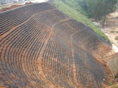 聚酯经编涤纶工程案例